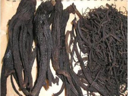 吃黑參不會(hui) 上火
